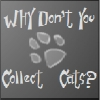 Why don’t you collect cats?
