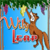 Wily Leap
