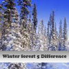 Winter forest 5 Difference