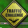traffic-challenge