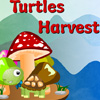 turtles-harvest