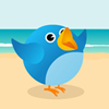 tweet-birds