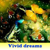vivid-dreams-5-differences