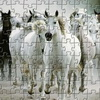 white-horse-jigsaw