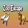 zoo-escape